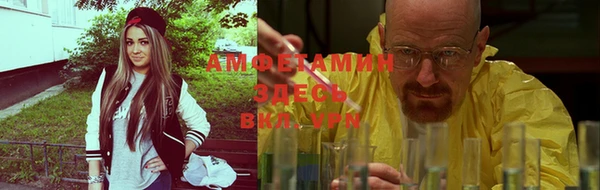 ГАЛЛЮЦИНОГЕННЫЕ ГРИБЫ Абаза