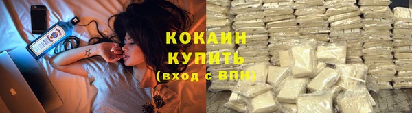 ГАЛЛЮЦИНОГЕННЫЕ ГРИБЫ Абаза