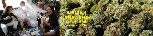мет Протвино