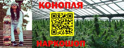 PSILOCYBIN Пушкино
