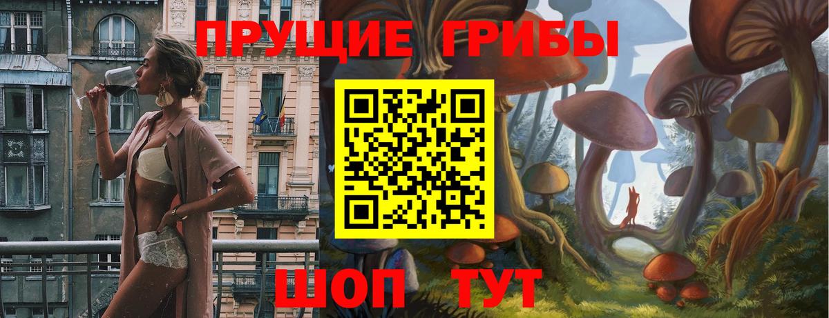 Галлюциногенные грибы Cubensis  Вход с VPN  Азов 