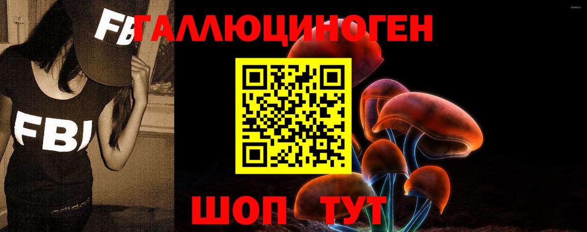 Псилоцибиновые грибы ЛСД Азов